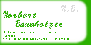 norbert baumholzer business card